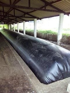 Biodigestor tubular para energía renovable