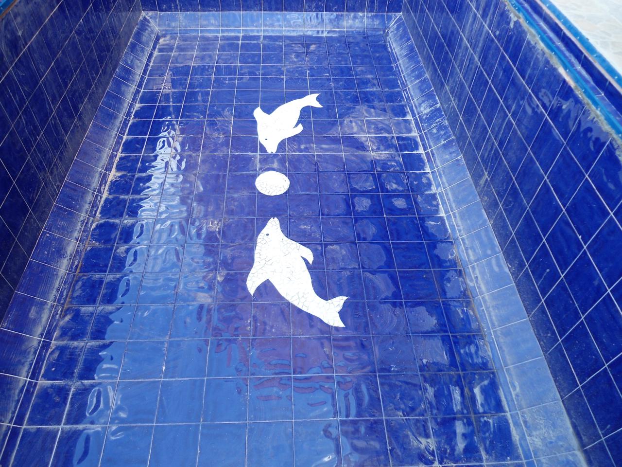 Piscina en geomembrana con forma irregular