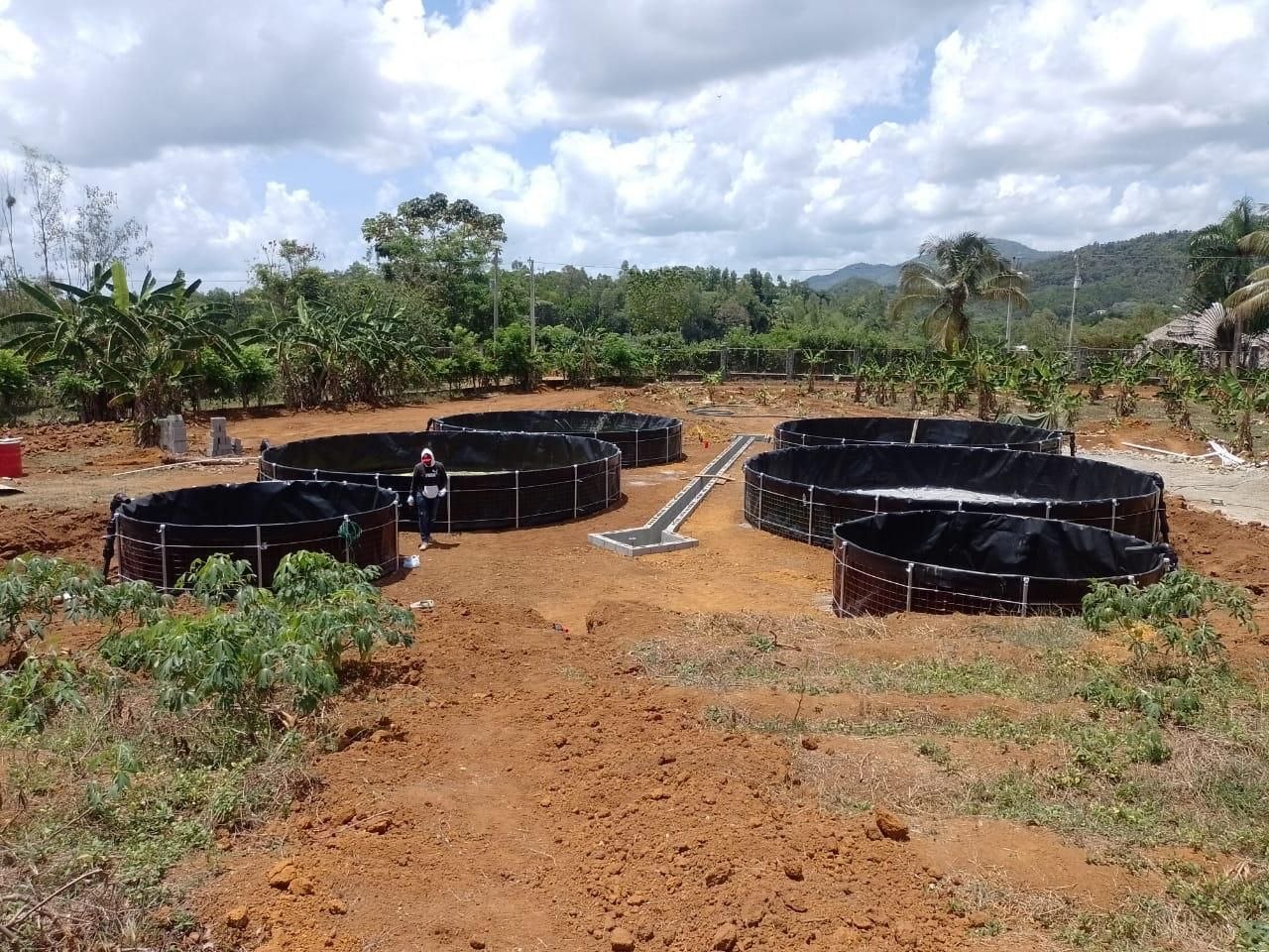 Tanque rectangular acuícola