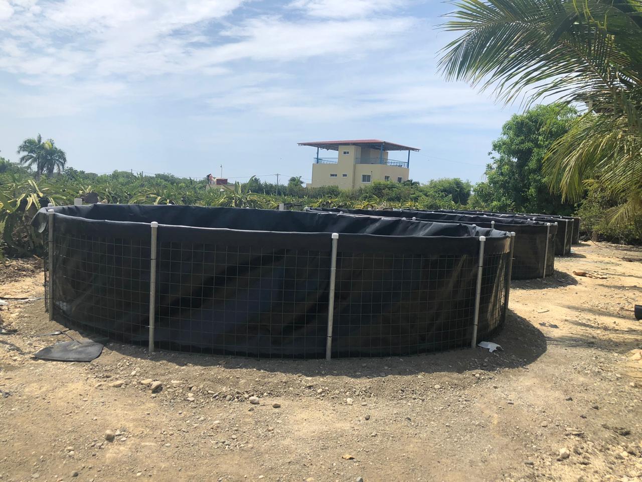 Tanque acuícola para control de agua