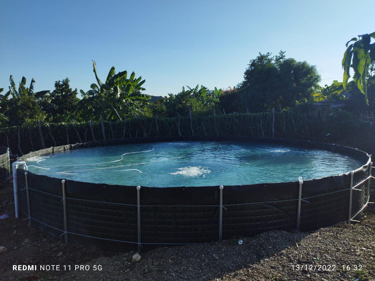 Tanque acuícola para engorde de peces