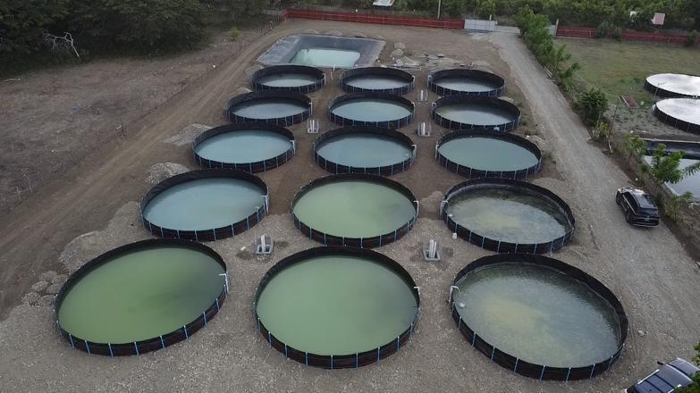 Estanque artificial acuícola