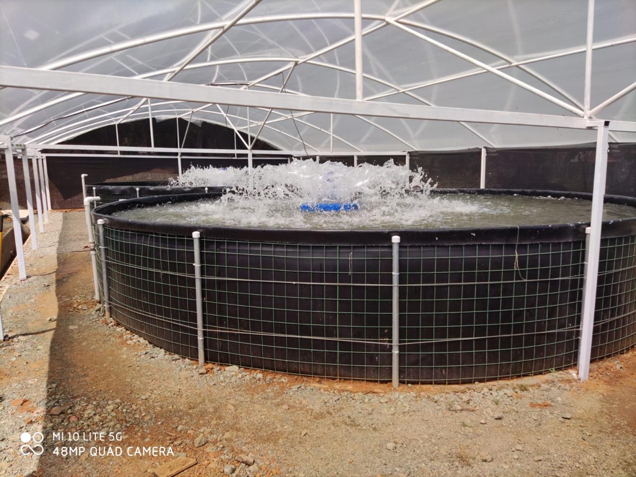 Tanque acuícola con geomembrana PVC