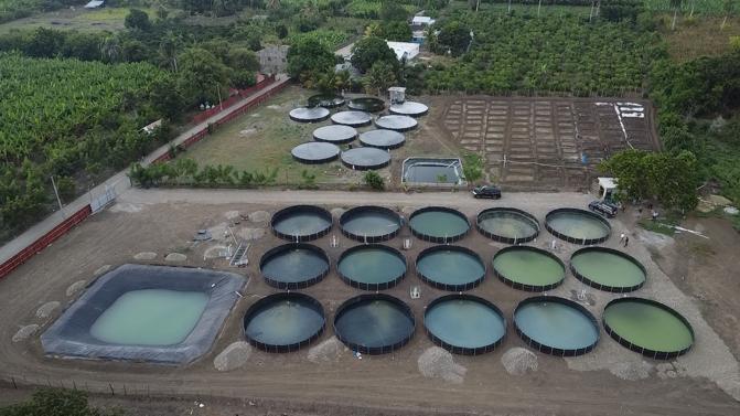 Tanque acuícola en obra de acuicultura