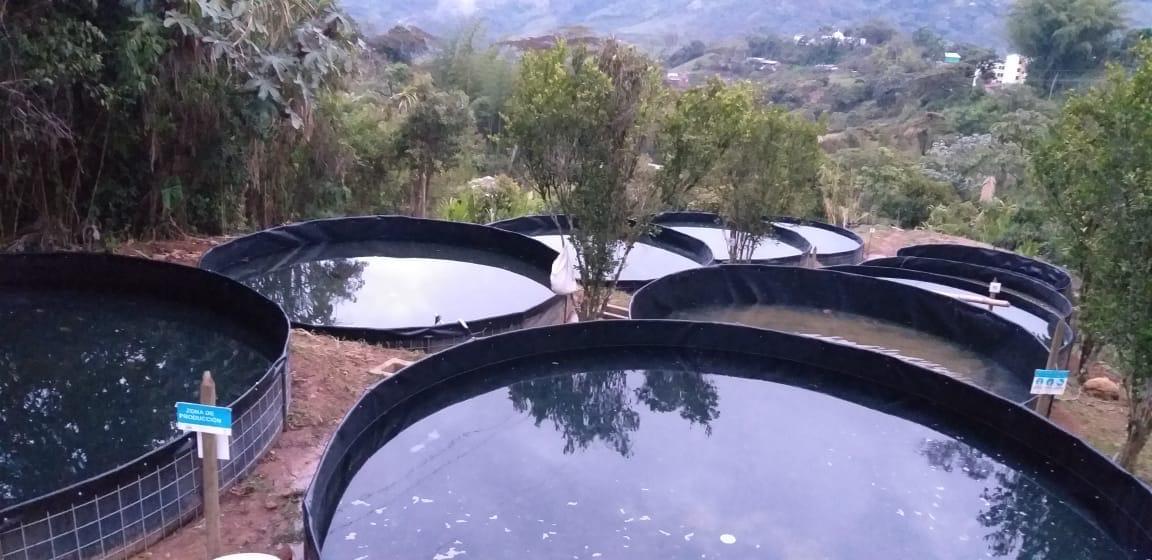 Proyecto de acuicultura con tanques