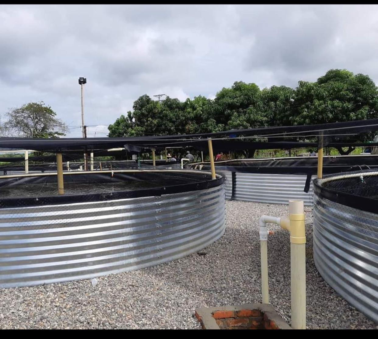 Tanque australiano agrícola