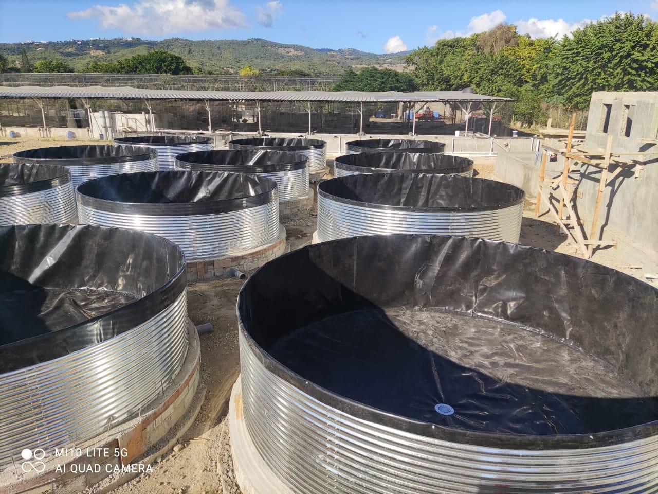 Tanque australiano abrevadero para ganado