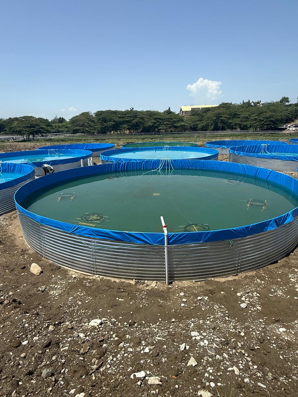 Tanque australiano en proyecto rural